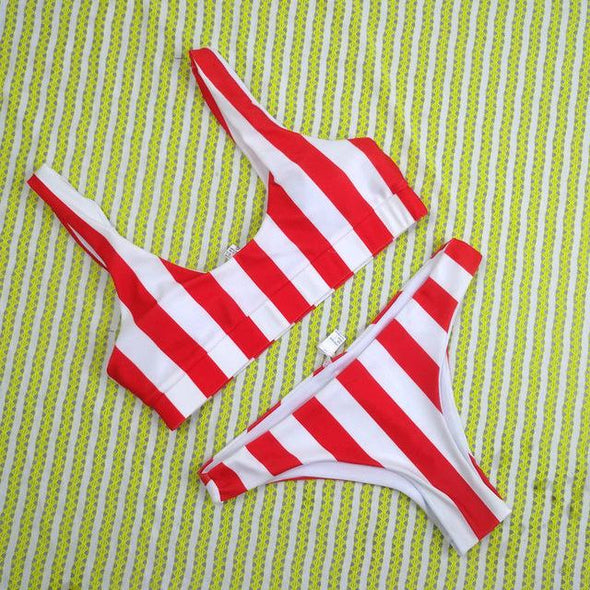 Striped two toned bikini